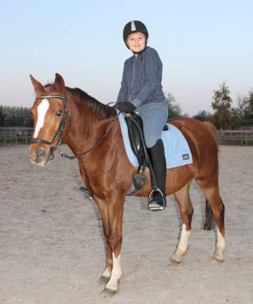 Therapeutisch paardrijden met autisme. Een uitgave in samenwerking met Jong010 Fonds & Handicap